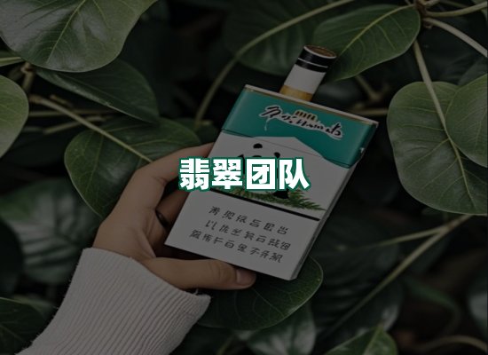 翡翠团队